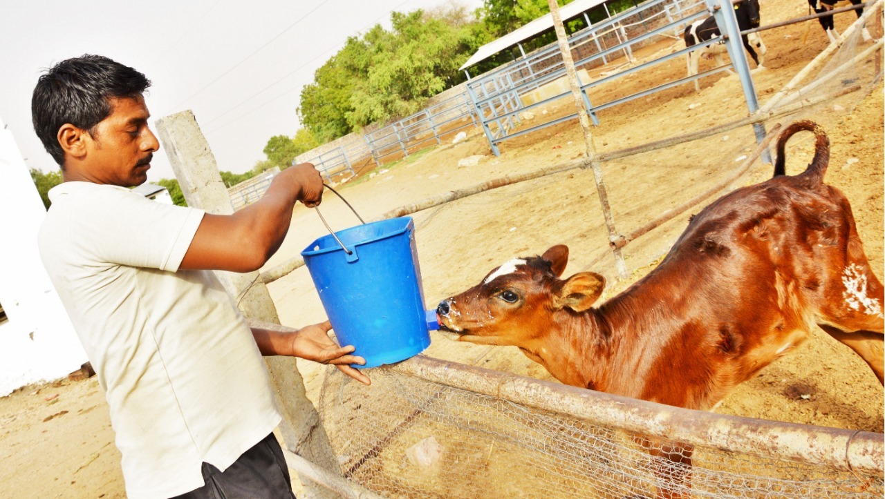 School Diary for Good Health